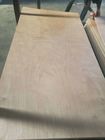 Okoume Wood Veneered Plywood Panels , 2.5 Mm Plain Waterproof Plywood Sheets