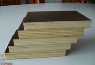 Poplar And Eucalyptus Core Film Faced Plywood For Office Building Construction