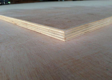 High Grading Commercial Grade Plywood With Poplar Birch Pine Hardwood Combi Cores